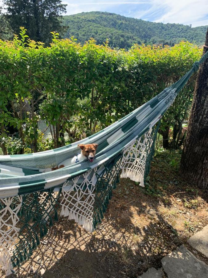 Barco Mediceo B&B In Toscana Carmignano Ngoại thất bức ảnh